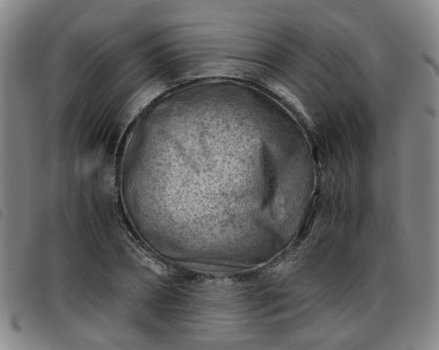 X0000096440882200801311426