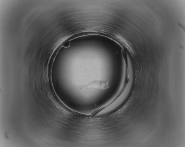 X0000096440884200801311426