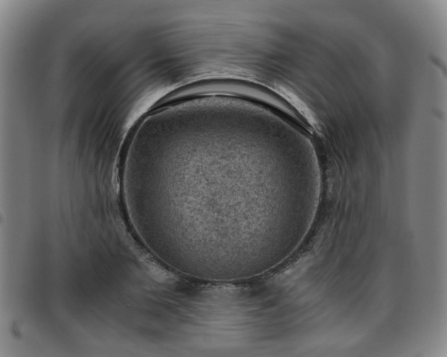 X0000096440885200801311426