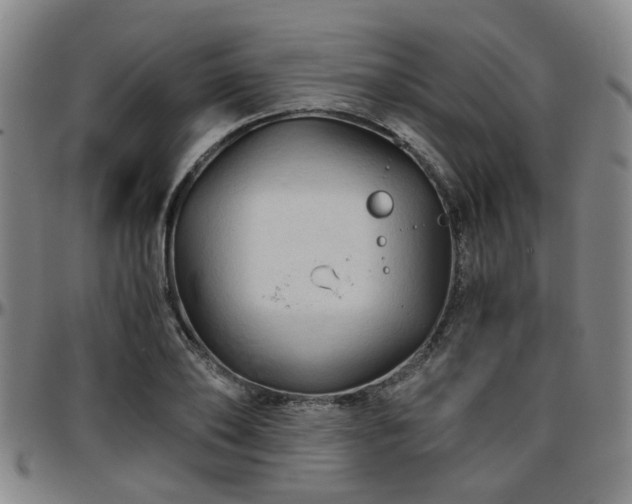 X0000096440886200801311426