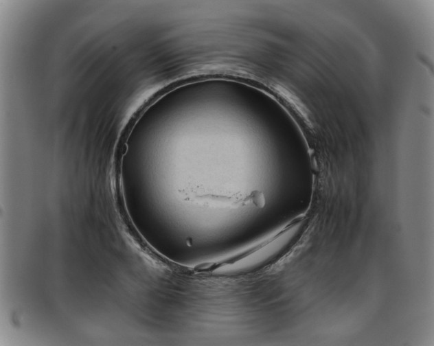 X0000096440888200801311426