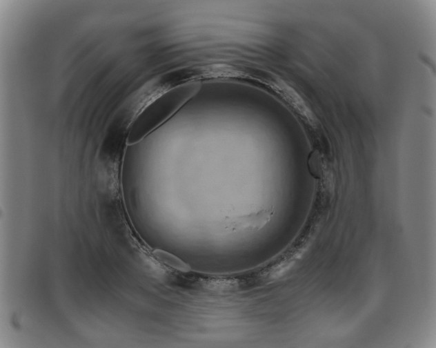 X0000096440889200801311426