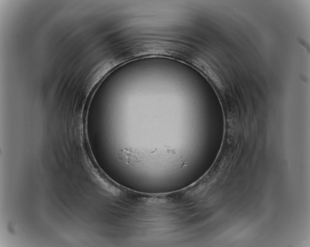 X0000096440890200801311426