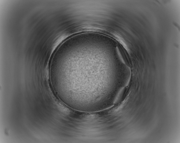 X0000096440891200801311426