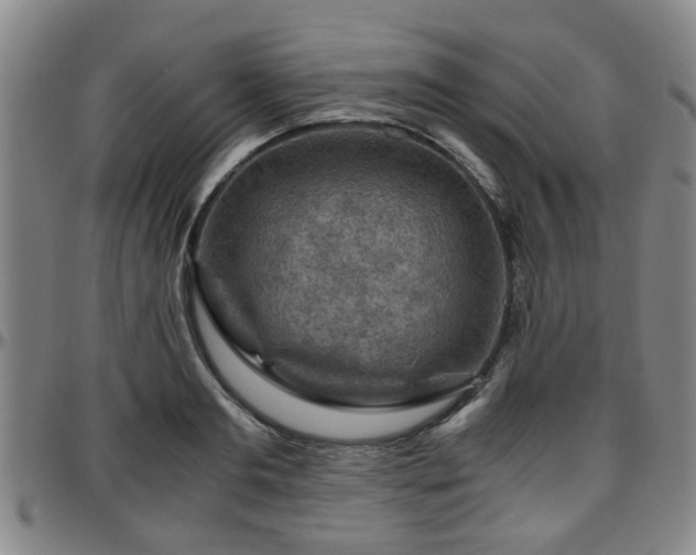 X0000096440893200801311426