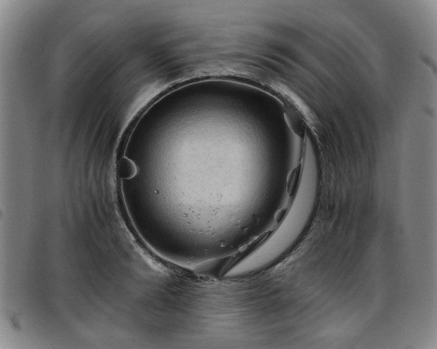 X0000096440894200801311426