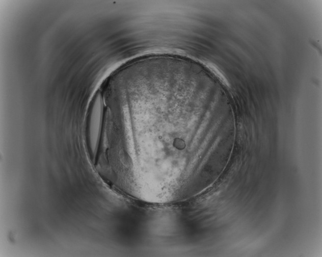 X0000096440895200801311426