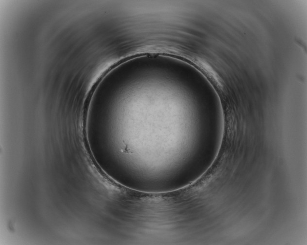 X0000096440896200801311426