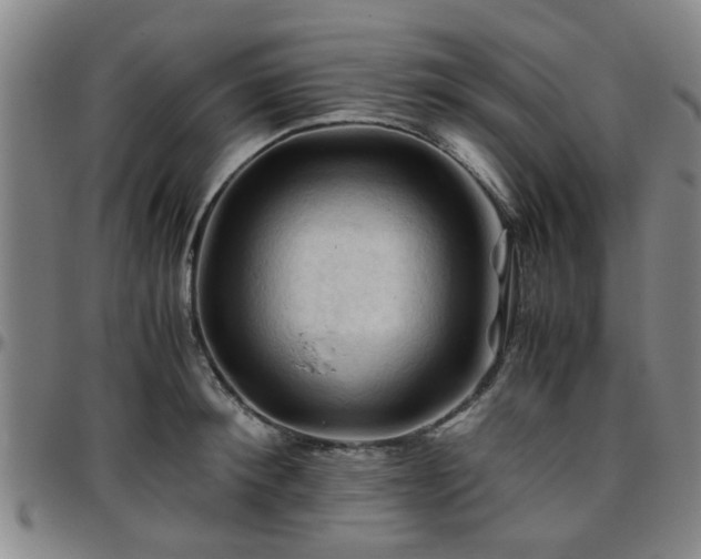 X0000096440900200801311426