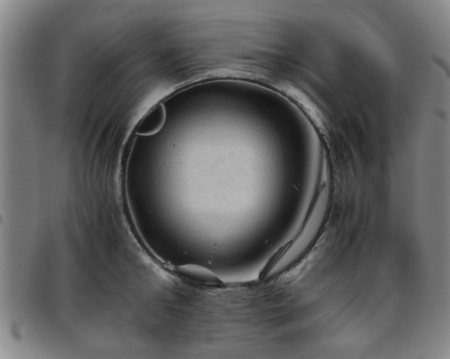 X0000096440902200801311426