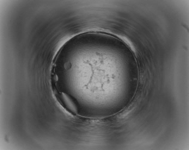 X0000096440903200801311426