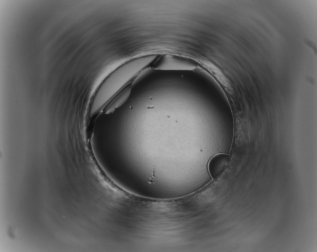 X0000096440904200801311426