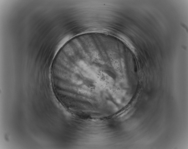 X0000096440907200801311426