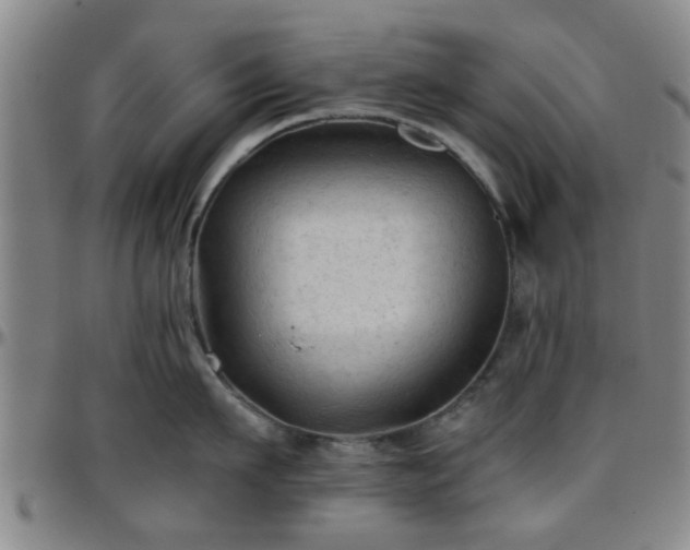 X0000096440911200801311426