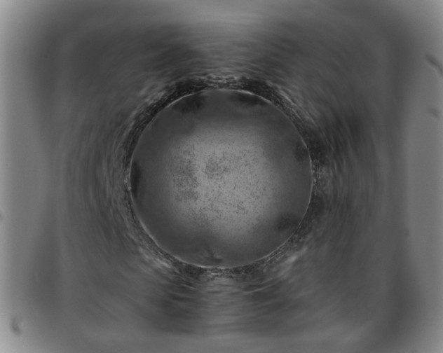 X0000096440913200801311425