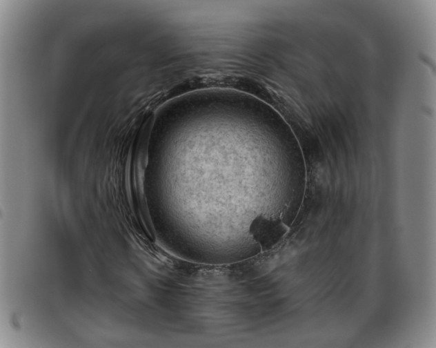 X0000096440914200801311425