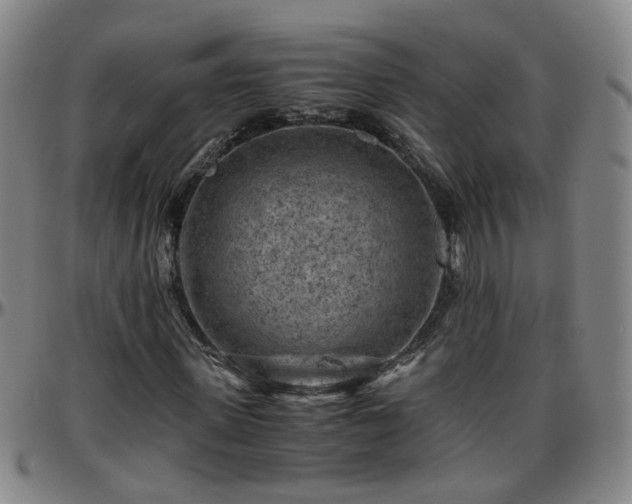 X0000096440915200801311425