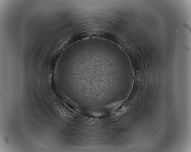 X0000096440916200801311425