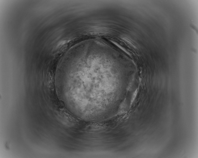 X0000096440917200801311425