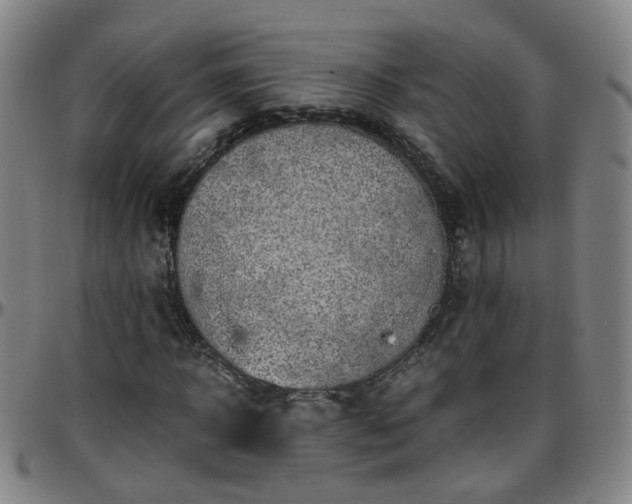 X0000096440918200801311425