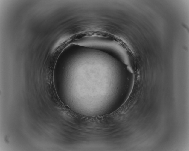 X0000096440919200801311425