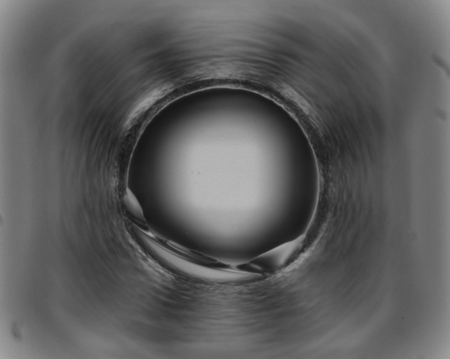 X0000096440922200801311425