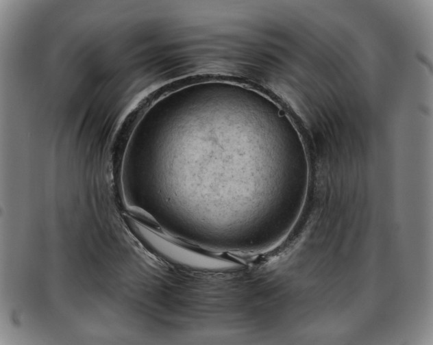 X0000096440923200801311425