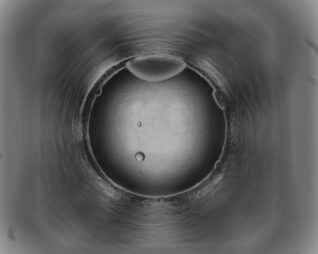 X0000096440924200801311425