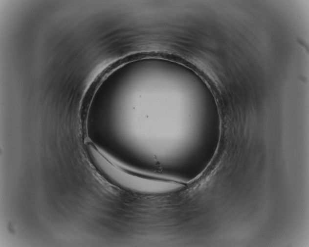 X0000096440927200801311425