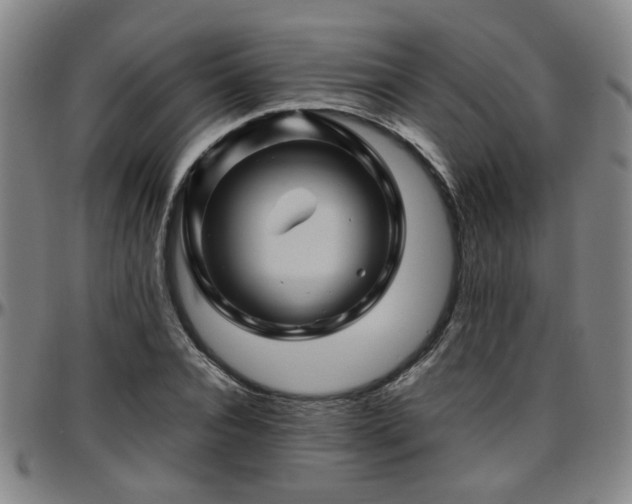 X0000096440928200801311425