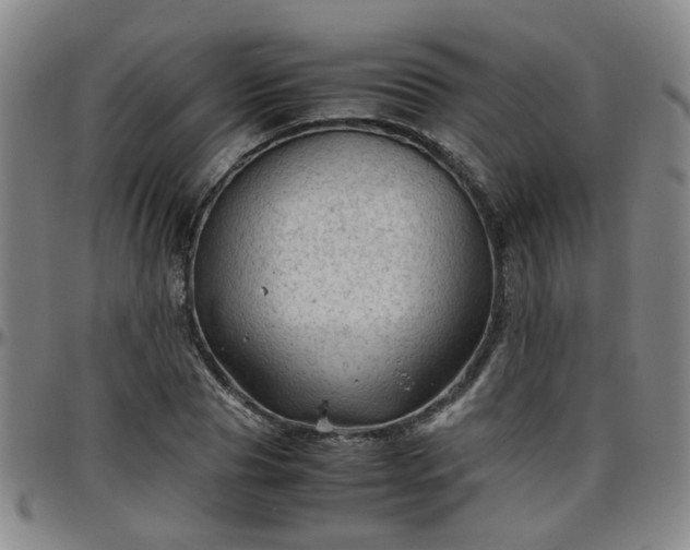 X0000096440929200801311425