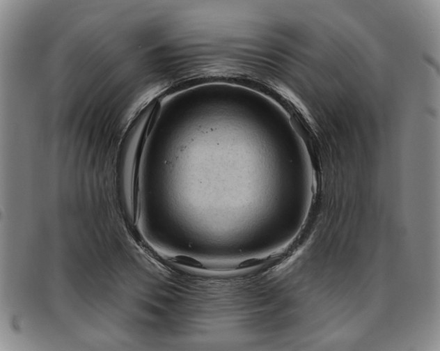 X0000096440930200801311426