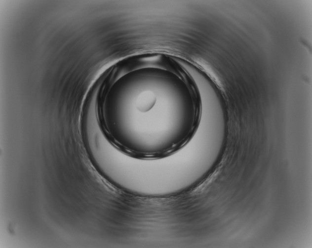 X0000096440932200801311426