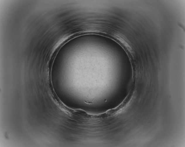 X0000096440933200801311426