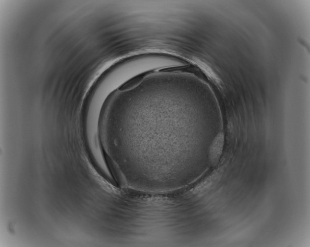 X0000096440934200801311426