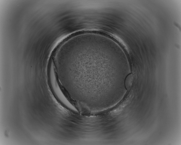 X0000096440935200801311426