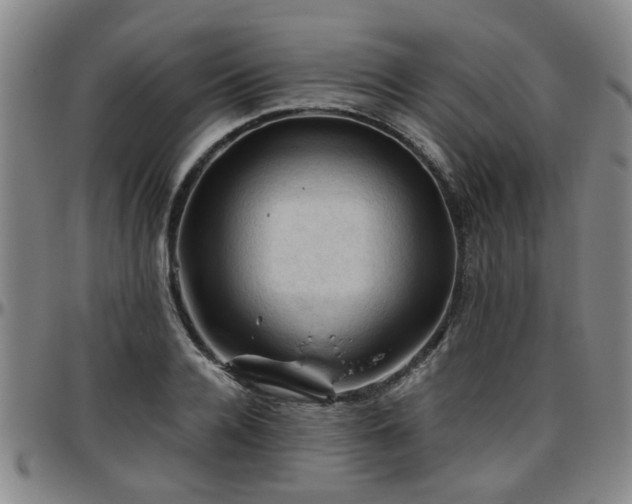 X0000096440936200801311426