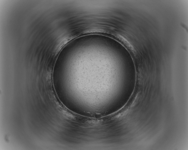 X0000096440937200801311426