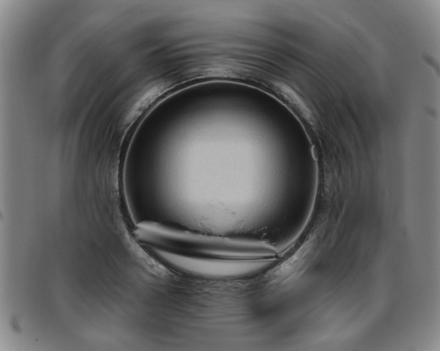 X0000096440938200801311426