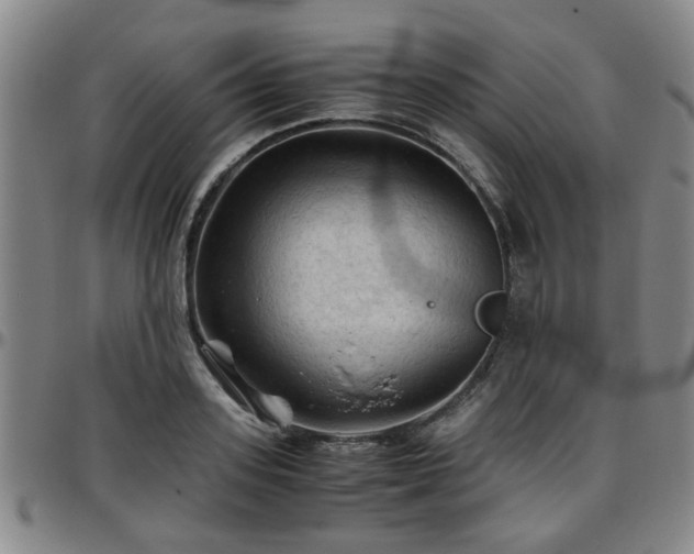 X0000096440939200801311426