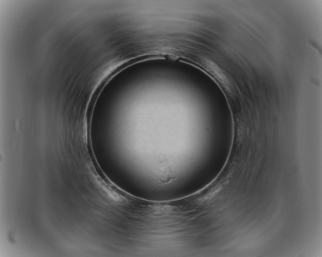 X0000096440940200801311426