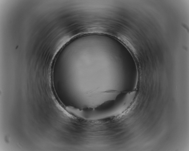 X0000096440941200801311426