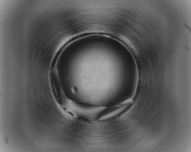 X0000096440942200801311426