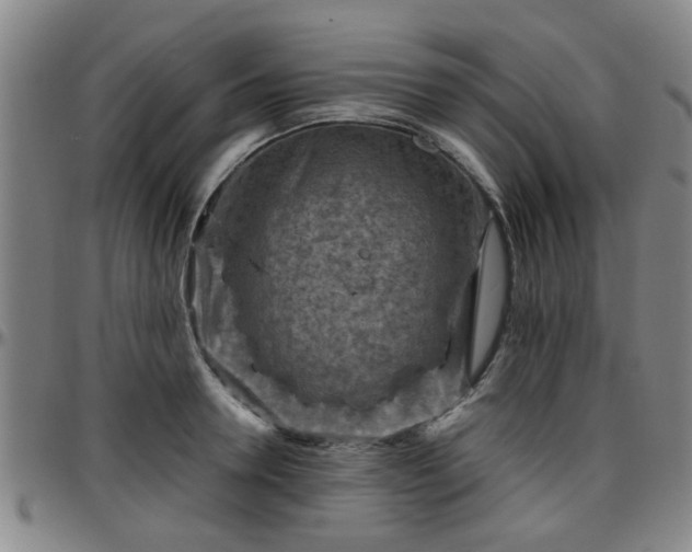 X0000096440946200801311426