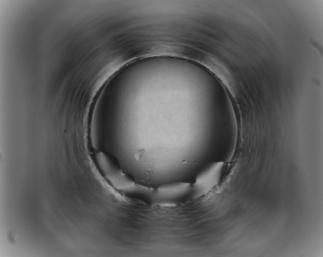 X0000096440949200801311426