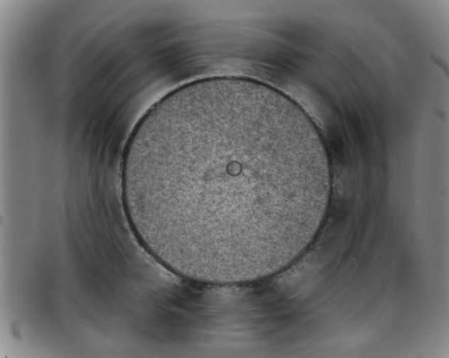 X0000096440950200801311426