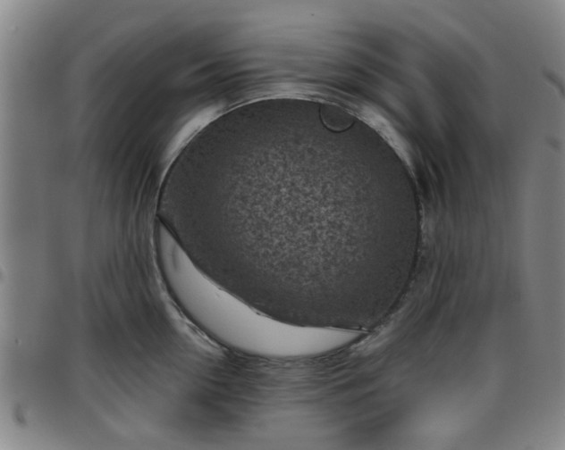 X0000096440954200801311426