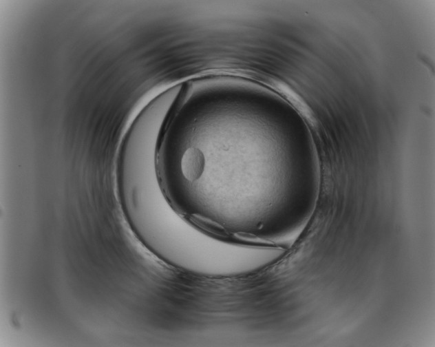 X0000096440955200801311426