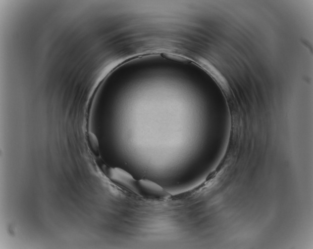 X0000096440956200801311426