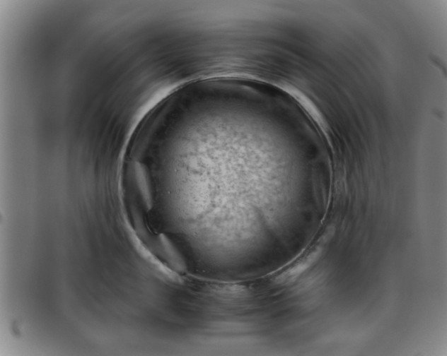 X0000096440957200801311426